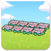 Field of Flowers