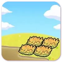 Marshy tall grass