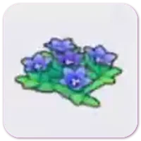 Mountain Flowers
