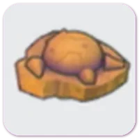 Skull Fossil
