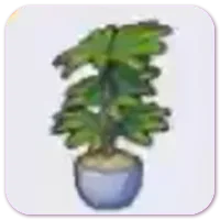Potted Plant (any)