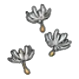 Cotton Spore