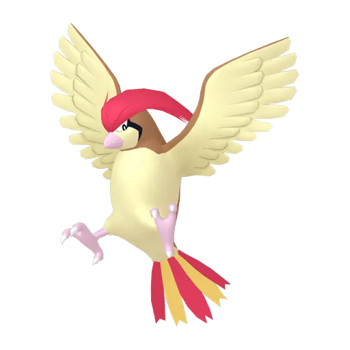 Pidgeotto