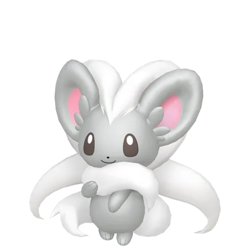 Cinccino