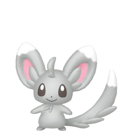 Minccino
