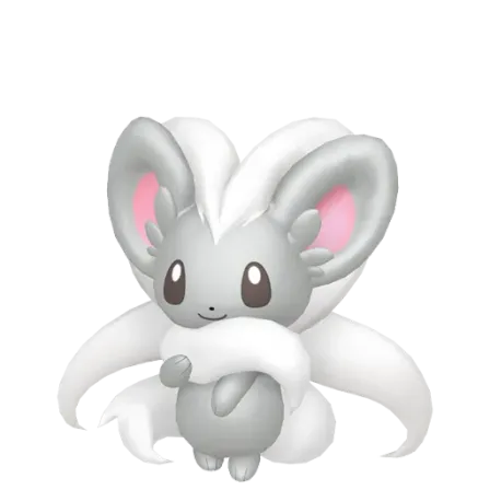 Cinccino