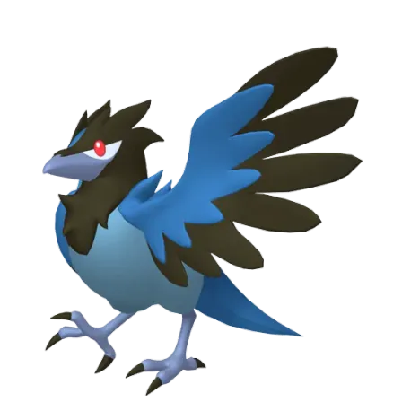 Corvisquire